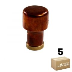 Lot de 5 Boutons de meuble en cuivre "Industriel" Ø22 - Arcanaute